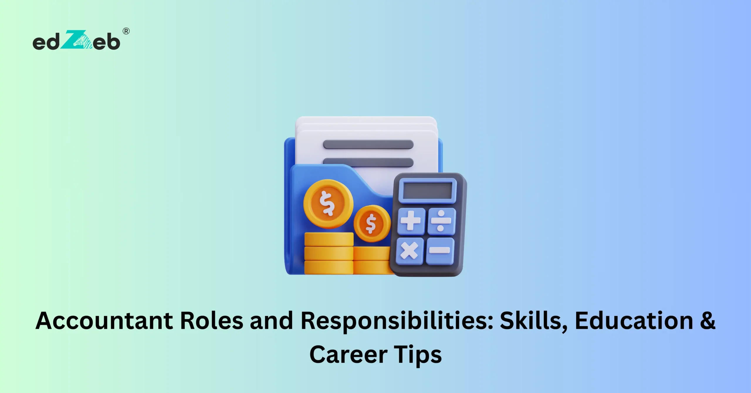 Accountant Roles and Responsibilities