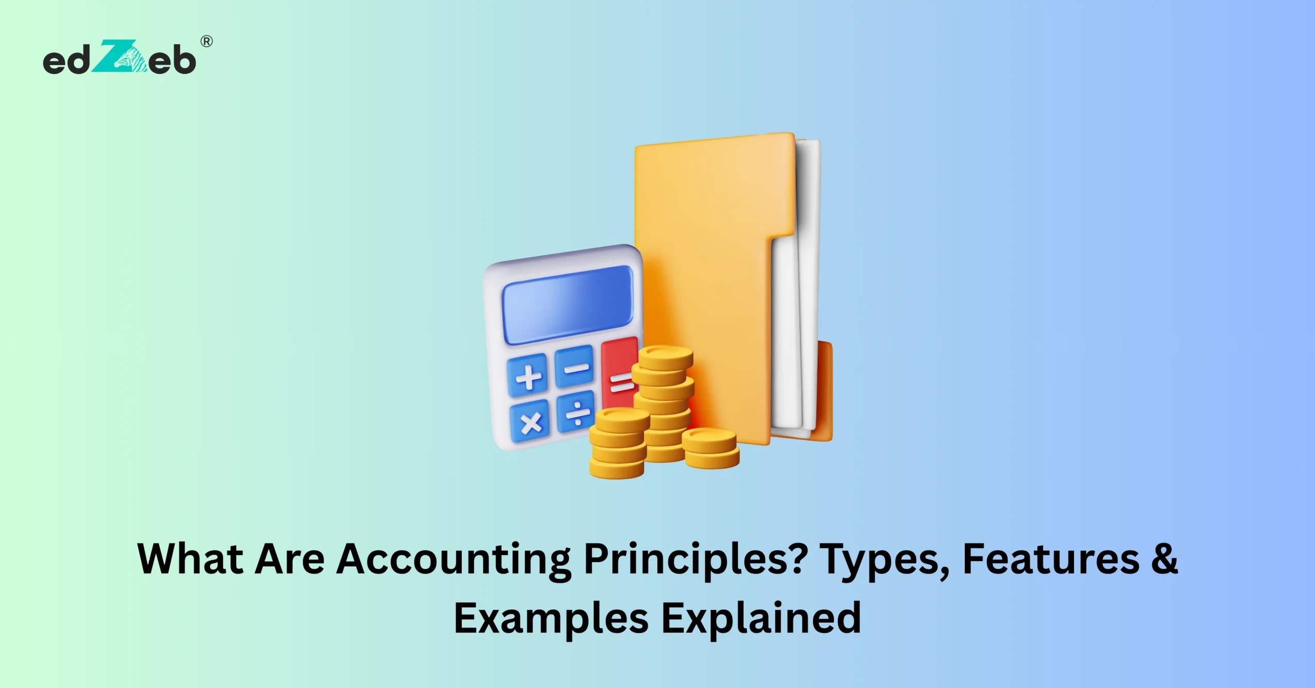 What are Accounting Principles